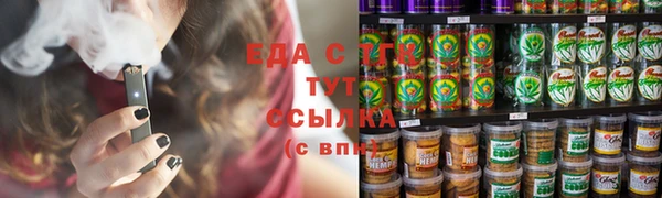 индика Алзамай