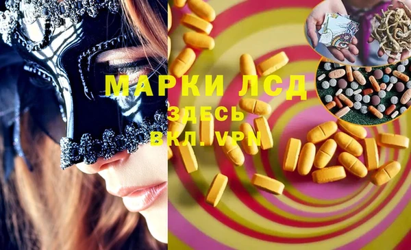 индика Алзамай