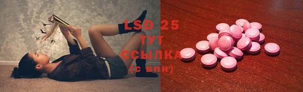 индика Алзамай