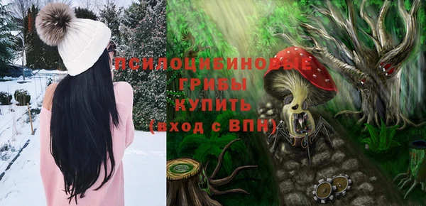 индика Алзамай