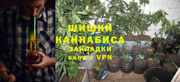 индика Алзамай