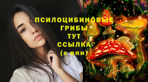 спайс Алексеевка