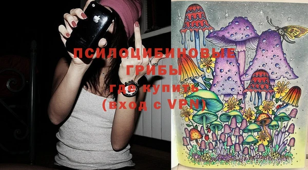 индика Алзамай